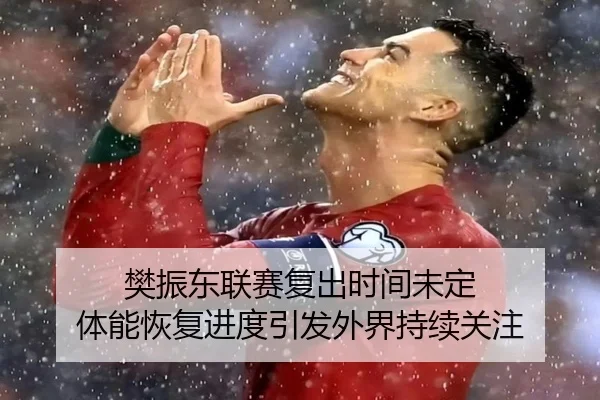 樊振东联赛复出时间未定 体能恢复进度引发外界持续关注